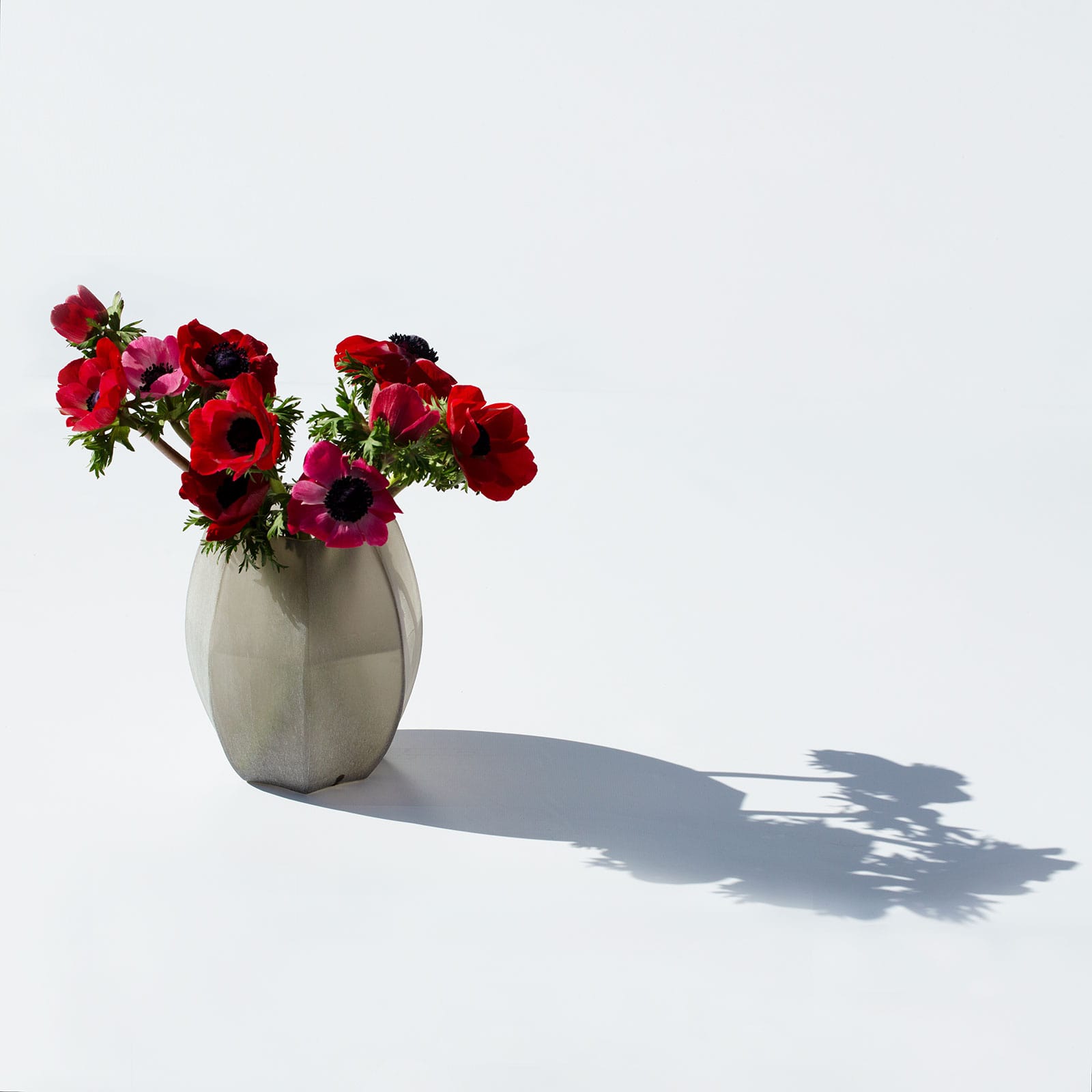 Auf einem weißen Untergrund steht die Koonam Vase S smokegrey von Guaxs, gefüllt mit dunkelroten Blumen.