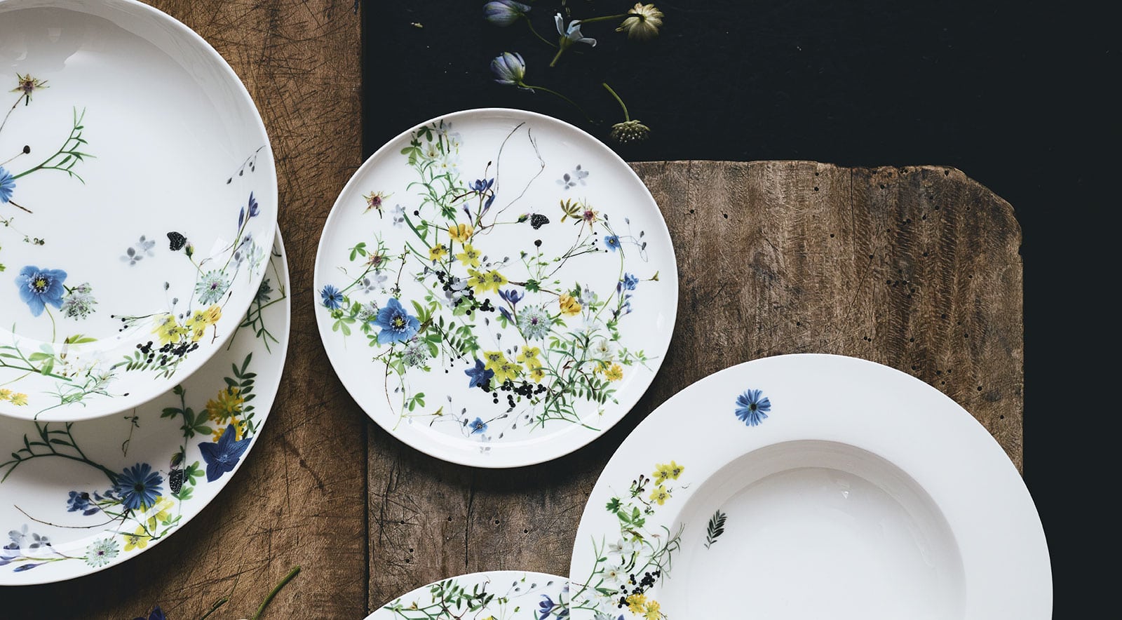 Rosenthal Fleurs des Alpes Kombi-Untertasse Coupe 15,5cm