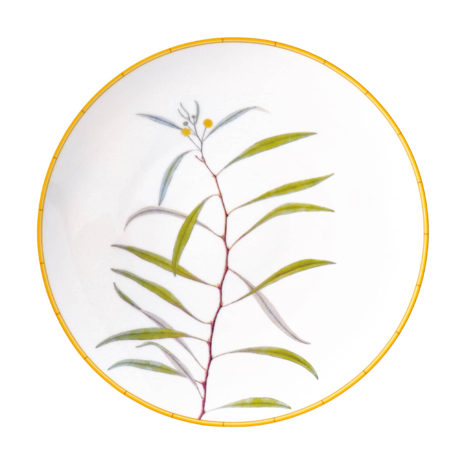 Bernardaud Jardin Indien Speiseteller 27cm