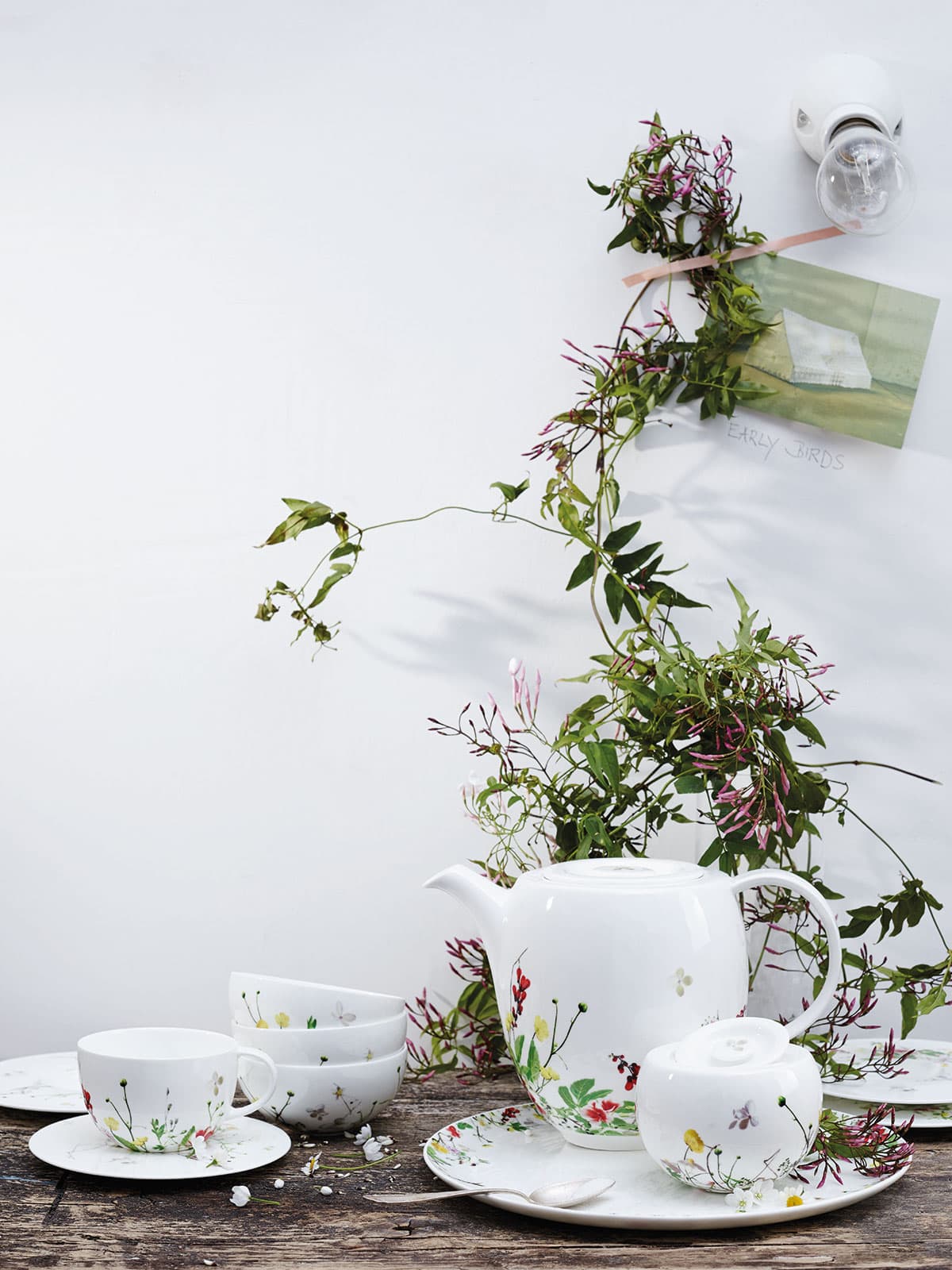 Geschirrserie Brillance Fleurs Sauvages