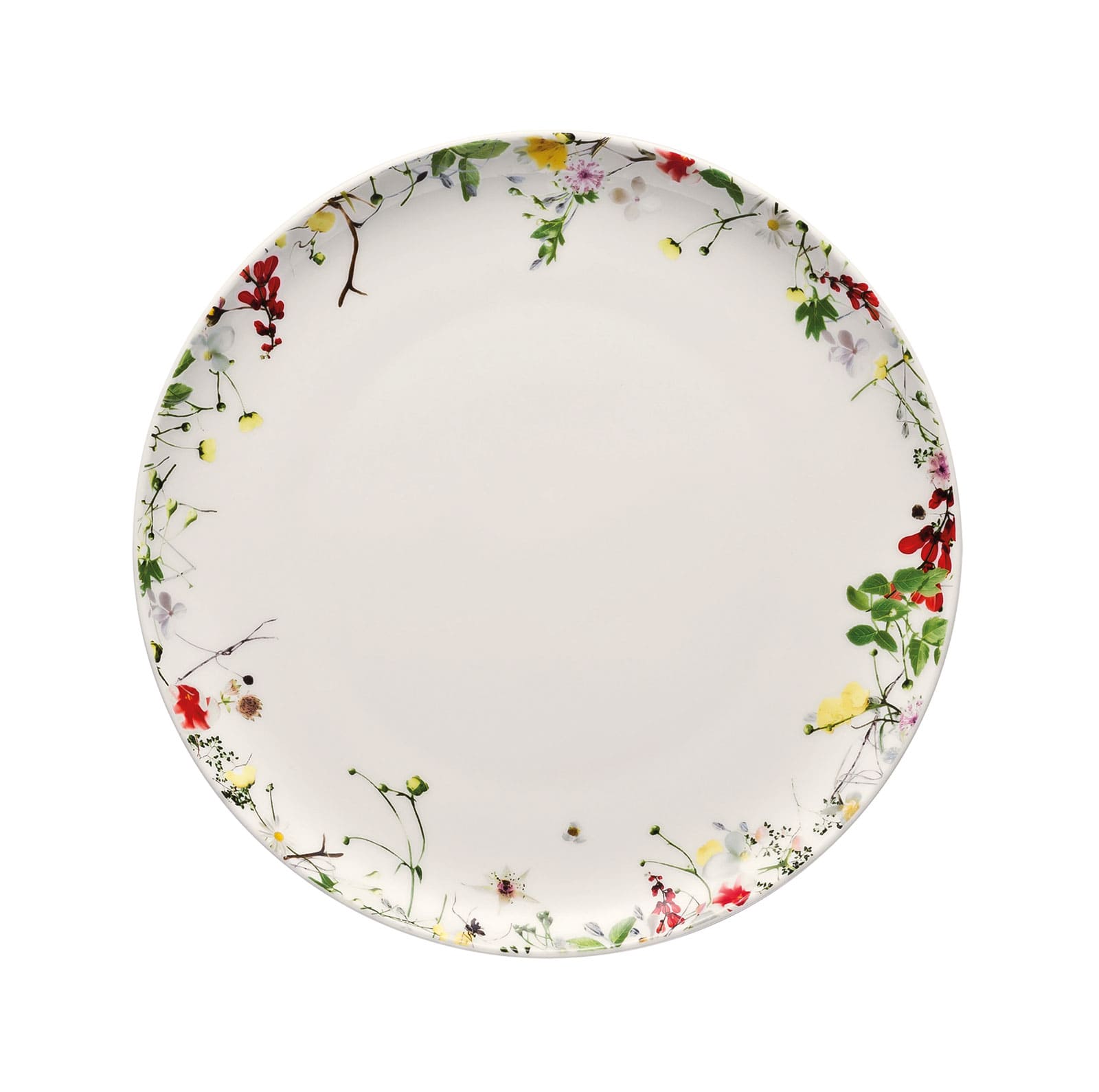 Rosenthal Brillance Fleurs Sauvages Frühstücksteller 21cm Coupe 21cm