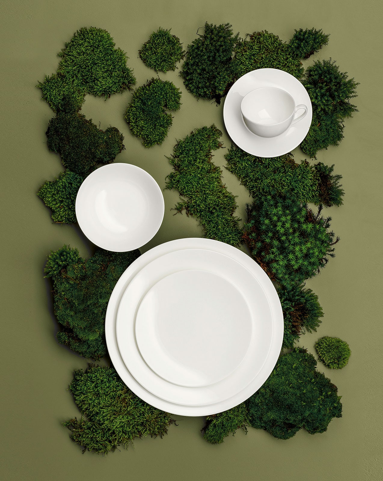 Dibbern Bone China weiß Pure Gourmetteller 26cm breiter Rand 0,40ltr.